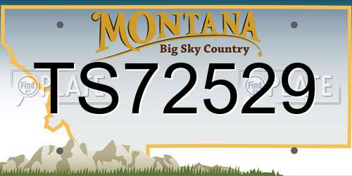 TS72529 Montana License Plate