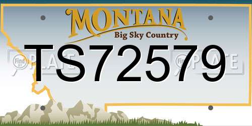 TS72579 Montana License Plate