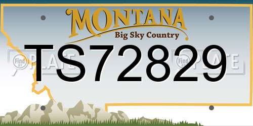 TS72829 Montana License Plate