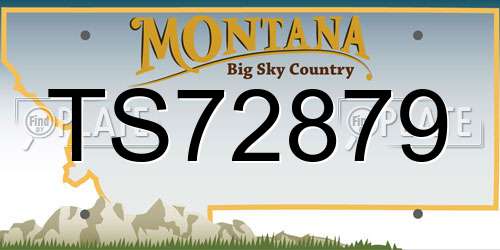 TS72879 Montana License Plate