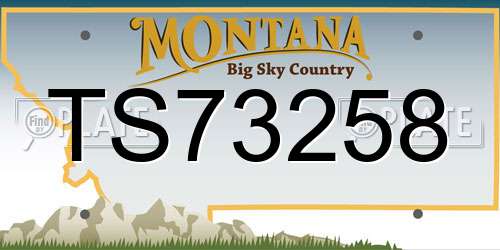 TS73258 Montana License Plate