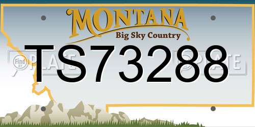 TS73288 Montana License Plate