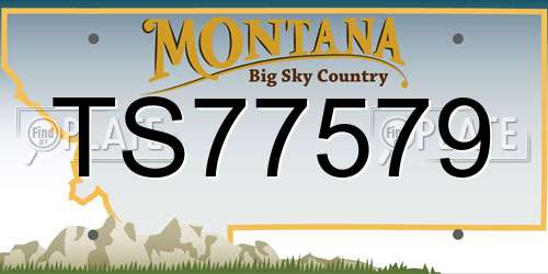 TS77579 Montana License Plate