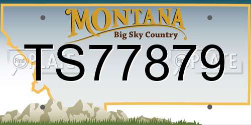 TS77879 Montana License Plate