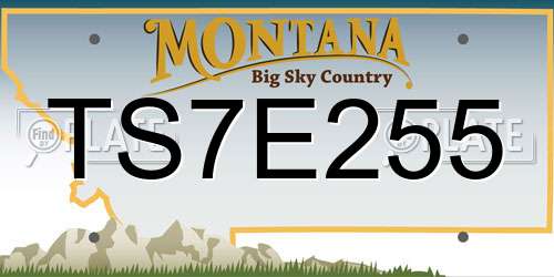 TS7E255 Montana License Plate