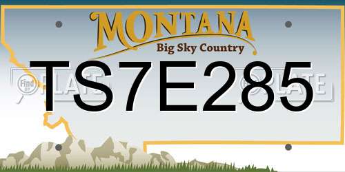 TS7E285 Montana License Plate