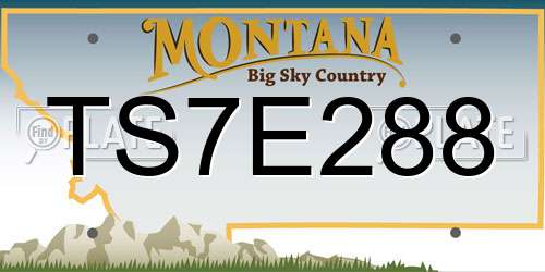 TS7E288 Montana License Plate
