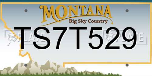 TS7T529 Montana License Plate