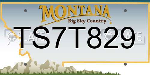 TS7T829 Montana License Plate
