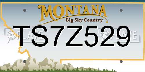TS7Z529 Montana License Plate