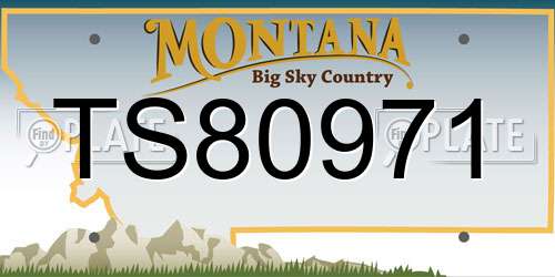 TS80971 Montana License Plate