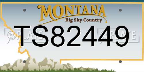TS82449 Montana License Plate