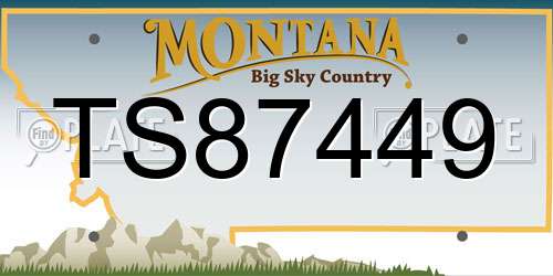 TS87449 Montana License Plate