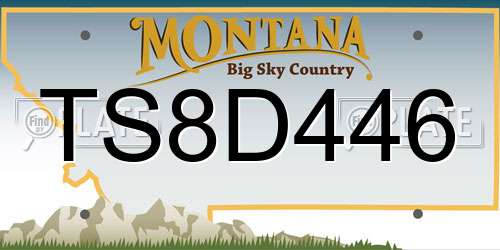 TS8D446 Montana License Plate