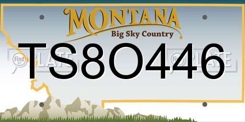 TS8O446 Montana License Plate