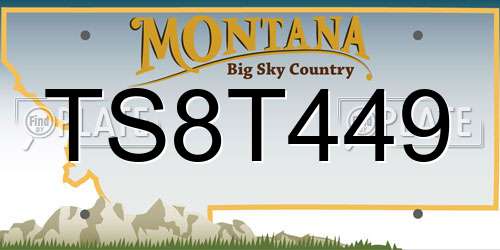TS8T449 Montana License Plate
