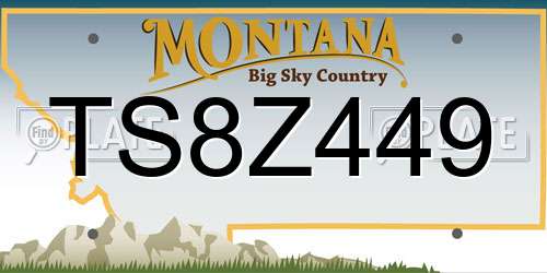 TS8Z449 Montana License Plate