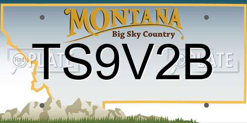 TS9V2B Montana License Plate