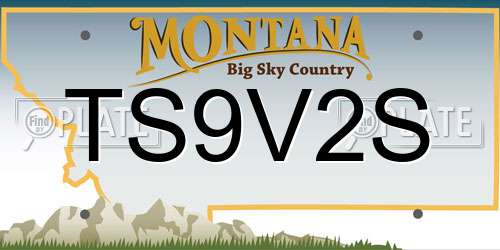 TS9V2S Montana License Plate