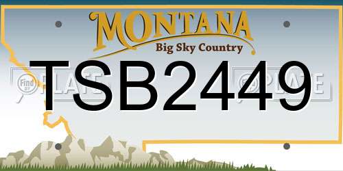 TSB2449 Montana License Plate