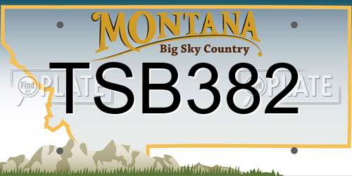 TSB382 Montana License Plate