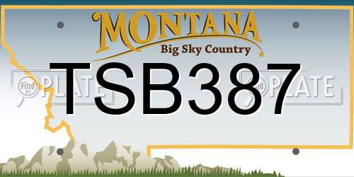 TSB387 Montana License Plate