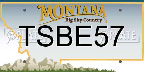 TSBE57 Montana License Plate