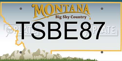 TSBE87 Montana License Plate