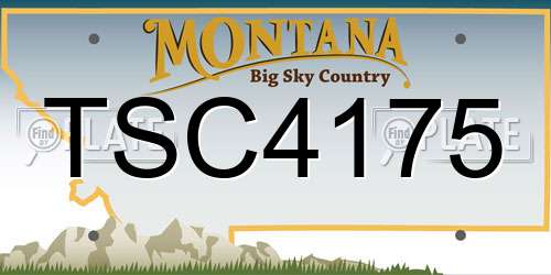 TSC4175 Montana License Plate