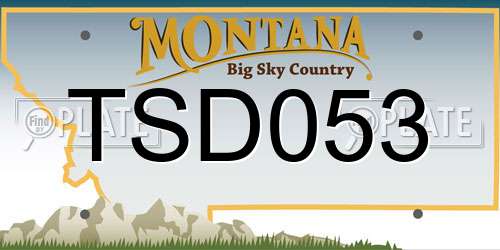 TSD053 Montana License Plate