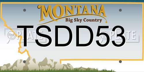 TSDD53 Montana License Plate