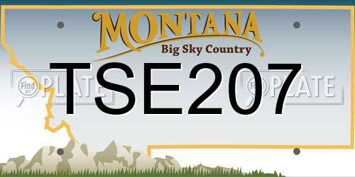 TSE207 Montana License Plate