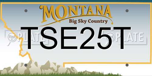 TSE25T Montana License Plate