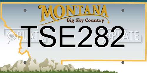TSE282 Montana License Plate