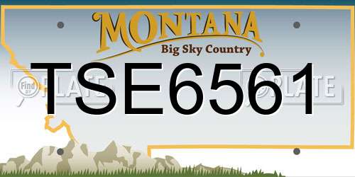 TSE6561 Montana License Plate