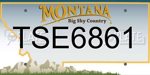 TSE6861 Montana License Plate