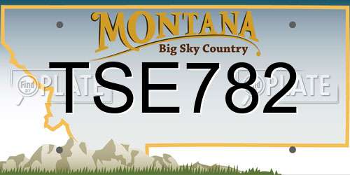 TSE782 Montana License Plate