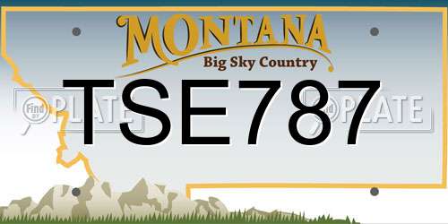 TSE787 Montana License Plate