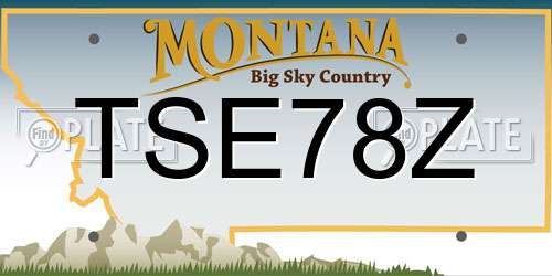 TSE78Z Montana License Plate