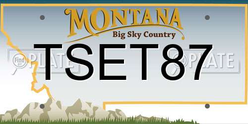 TSET87 Montana License Plate