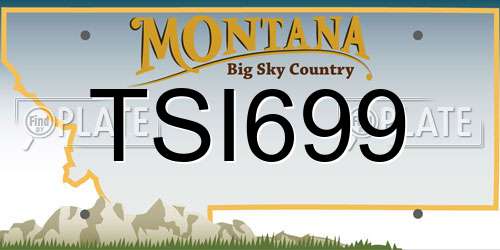 TSI699 Montana License Plate