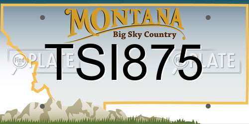 TSI875 Montana License Plate