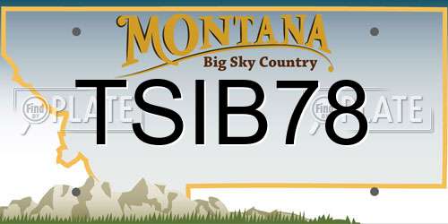 TSIB78 Montana License Plate