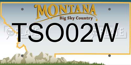 TSO02W Montana License Plate