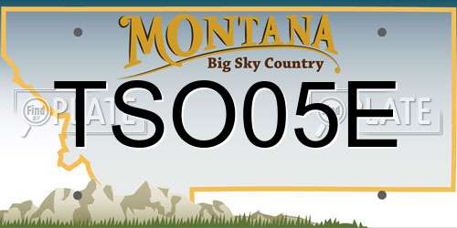 TSO05E Montana License Plate