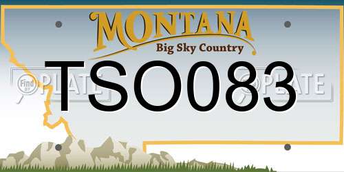 TSO083 Montana License Plate