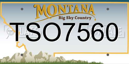 TSO7560 Montana License Plate