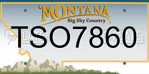 TSO7860 Montana License Plate