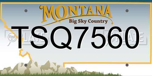 TSQ7560 Montana License Plate