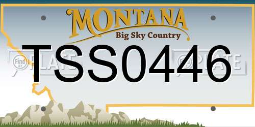 TSS0446 Montana License Plate